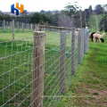 cerca de alambre galvanizado cerca de cultivo de cabra